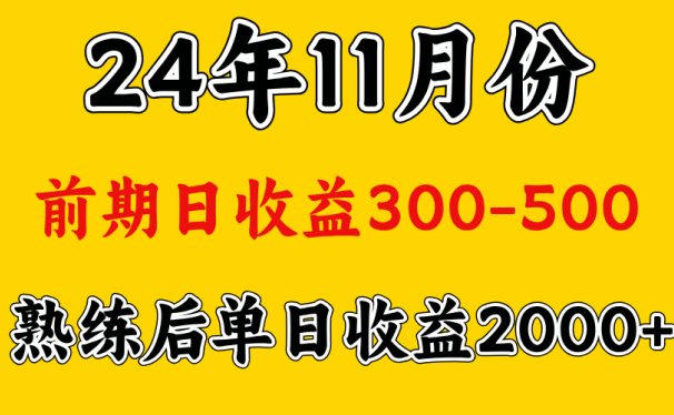 轻资产项目,前期日收益500左右,后期日收益1500-2000左右,多劳多得