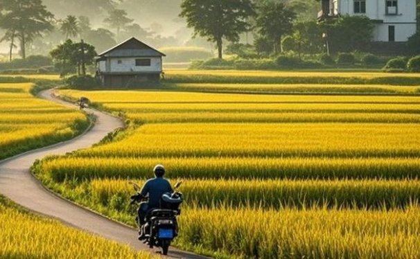 一学就会,1分钟教会你,10W+爆款田间乡野治愈视频(附提示词技巧)