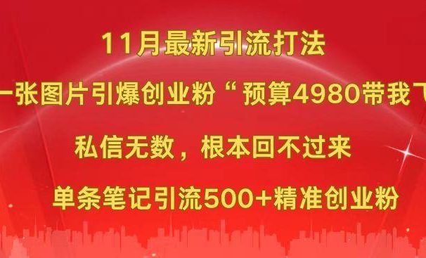 小红书11月最新图片打法,一张图片引爆创业粉“预算4980带我飞”,私信无数,根本回不过来,单条笔记引流500+精准创业粉