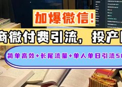 电商微付费引流,投产比巨高,简单高效+长尾流量+粉丝质量高,单人单日引流500+创业粉