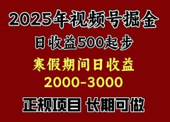 最新视频号项目,单账号日收益500起步,寒假期间日收益2000-3000左右,
