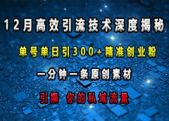 12月高效引流技术深度揭秘 ,单号单日引300+精准创业粉,一分钟一条原创素材,引爆你的私域流量