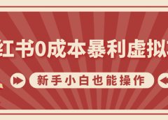 小红书0成本暴利虚拟项目,新手小白也能操作,轻松实现月入过万