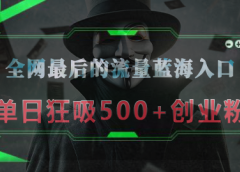 全网最后的流量蓝海入口,半小时引流50+创业粉,单日狂吸500+创业粉