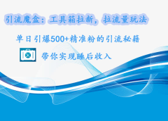 引流魔盒:工具箱拉新,拉流量玩法,单日引爆500+精准粉的引流秘籍,带你实现睡后收入