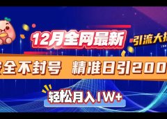12月全网最新引流大招 安全不封号 日引精准粉200+
