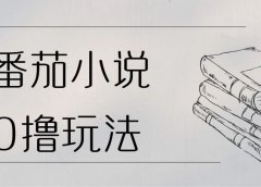 看小说赚钱,番茄小说0撸玩法,每天60分钟,日入100+