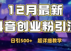 首次公开:12月份抖音日引500+创业粉秘籍