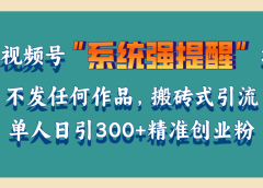 利用视频号“系统强提醒”功能,引流精准创业粉,无需发布任何作品,单人日引流300+精准创业粉