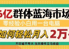 6亿群体蓝海市场,零经验小白用一台电脑,如何轻松月入2万+