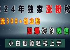 2024年独家涨粉秘籍,日引流300+创业粉,加爆你的微信好友,小白也能轻松上手