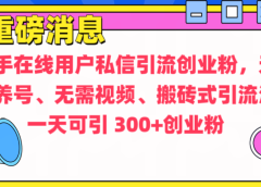 通过给快手在线用户私信引流创业粉,无需养号、无需视频、搬砖式引流法,一天可引300+创业粉