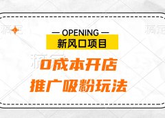 新风口项目、0成本开店、推广吸粉玩法