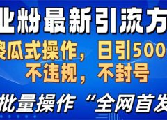 创业粉最新引流方法,日引500+ 傻瓜式操作,不封号,不违规,可批量操作(全网首发)