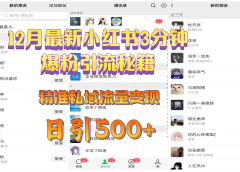 12月最新小红书3分钟爆粉引流秘籍,精准私域流量变现 日引500+