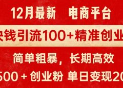 拼多多淘宝电商平台1块钱引流100个精准创业粉,简单粗暴高效长期精准,单人单日引流500+创业粉,日变现2000+