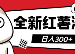 全新小红书浏览 日入300+