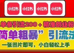 12底最新小红书单日引流200+创业粉,“简单粗暴”引流法,一张图片即可操作,小白轻松上手,私信根本回不完