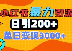 小红书一张图片“引爆”创业粉,单日+200+精准创业粉 可筛选付费意识创业粉