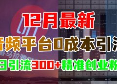 12月最新:音频平台0成本引流,日引300+精准创业粉