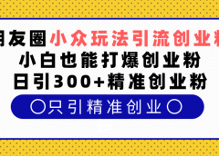 朋友圈小众玩法引流创业粉,小白也能打爆创业粉,日引300+精准创业粉