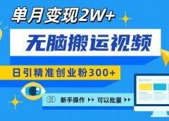 无脑搬运视频号可批量复制,新手即可操作,日引精准创业粉300+ 月变现2W+