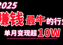 2025赚钱最牛的行业,单月变现超10w