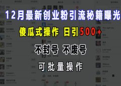 12月最新创业粉引流秘籍曝光 傻瓜式操作 日引500+ 不封号,不废号,可批量操作!