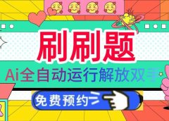 刷刷题Ai全自动运行，每天半小时轻松搞几张，管道收益轻松日入1000+