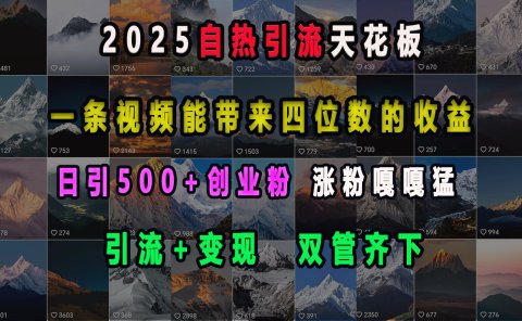 2025自热引流天花板,一条视频能带来四位数的收益,引流+变现双管齐下,日引500+创业粉,涨粉嘎嘎猛