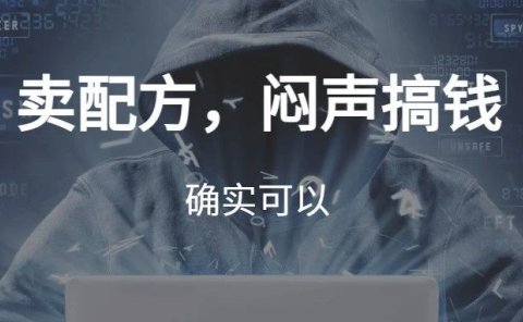 卖虚拟资料,闷声搞钱
