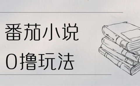 看小说赚钱,番茄小说0撸玩法,每天60分钟,日入100+