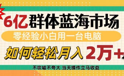 6亿群体蓝海市场,零经验小白用一台电脑,如何轻松月入2万+