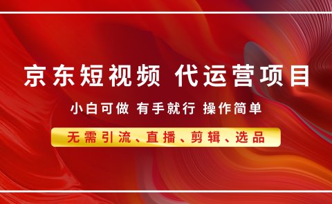 京东带货代运营 年底翻身项目,小白有手就行,月入8000+