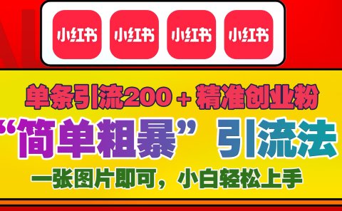 12底最新小红书单日引流200+创业粉,“简单粗暴”引流法,一张图片即可操作,小白轻松上手,私信根本回不完