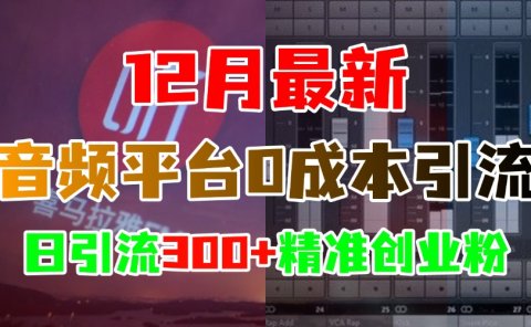 12月最新:音频平台0成本引流,日引300+精准创业粉