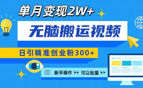 无脑搬运视频号可批量复制,新手即可操作,日引精准创业粉300+ 月变现2W+
