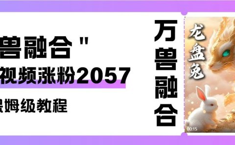 1条视频涨粉2057,视频号这样做,你也可以