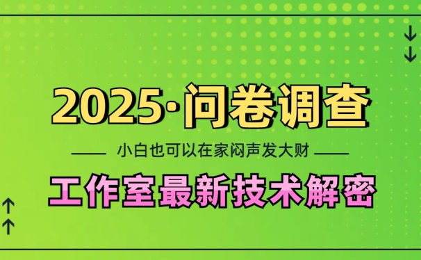 2025《问卷调查》最新工作室技术解密:一个人在家也可以闷声发大财,小白一天200+,可矩阵放大