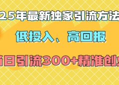 2025年最新独家引流方法,低投入高回报?当日引流300+精准创业粉