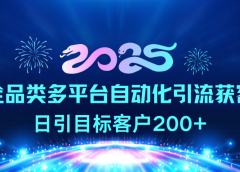 2025全品类多平台自动化引流获客,日引目标客户200+