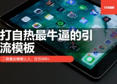 打自热最牛逼的引流模板,日引300+,二剪搬运嗖嗖上人