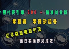 小额付费引爆 300 + 精准创业粉,零剪辑、零复杂起号,话术撬动被动引流,当日实操即见成效!