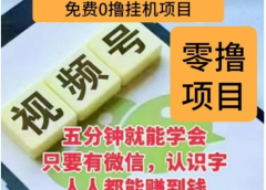 微信视频号挂机零成本撸米项目,单号一天收益多米,帐号越多收益就越高!