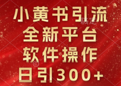 小黄书引流,全新平台,软件操作,日引300+