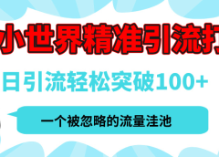 QQ小世界,被严重低估的私域引流平台,流量年轻且巨大,实操单日引流100+创业粉,月精准变现1W+
