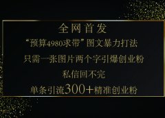 小红书,“预算 4980 带我飞” 的神奇图片引流法,堪称涨粉核武器!只需一张图,就能单条笔记凭借此方法,轻松引流 300 + 精准创业粉!