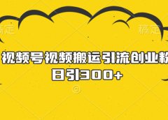 视频号视频搬运引流创业粉,日引300+