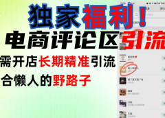 简单有效长期引流,电商评论引流法,无需开店长期精准引流,适合懒人干就完了!