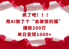 疯了吧!!!用AI做了个“会做饭的猫”,播放200万,单日变现1000+